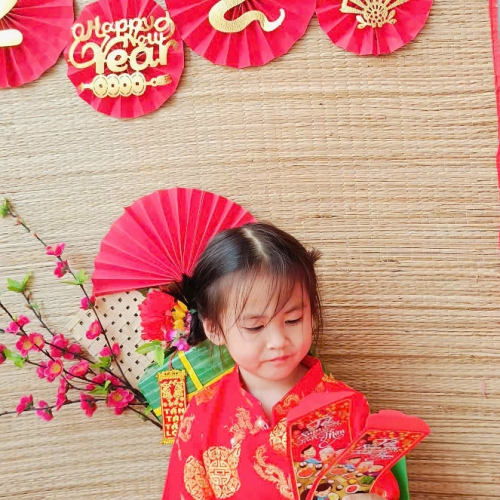 Hình tết 2025 cs4