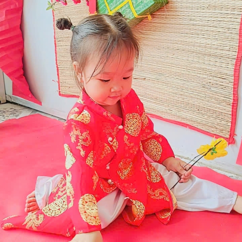 Hình tết 2025 cs4