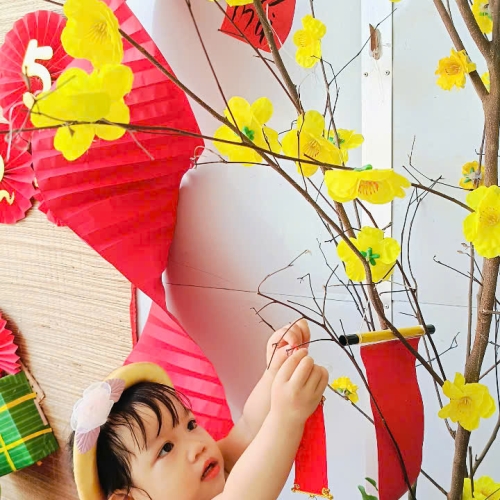 Hình tết 2025 cs4