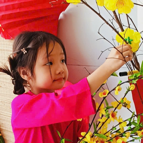 Hình tết 2025 cs4