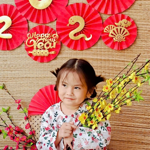 Hình tết 2025 cs4