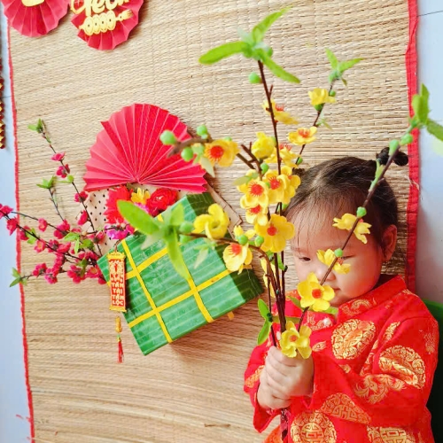 Hình tết 2025 cs4