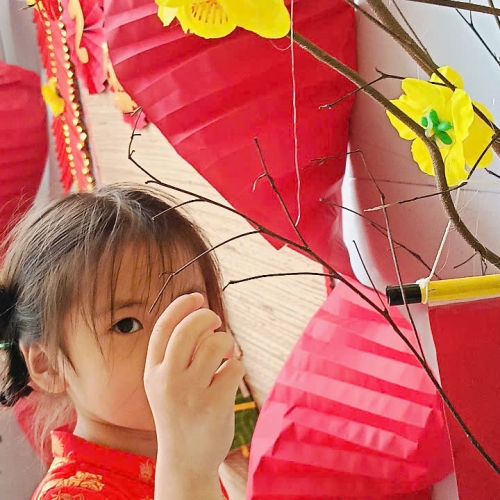 Hình tết 2025 cs4