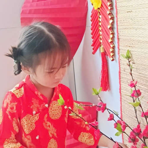 Hình tết 2025 cs4