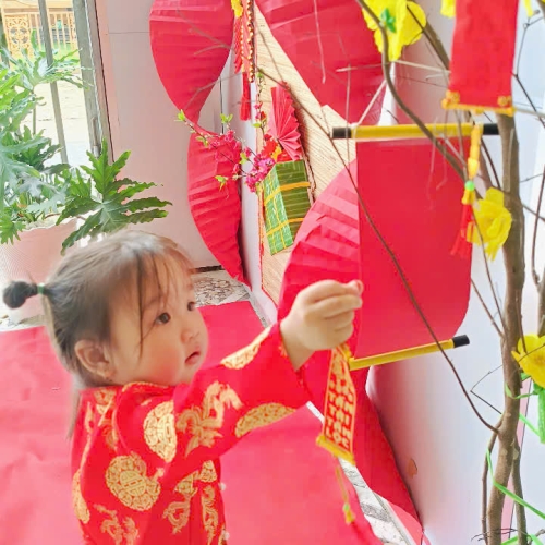 Hình tết 2025 cs4