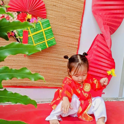 Hình tết 2025 cs4