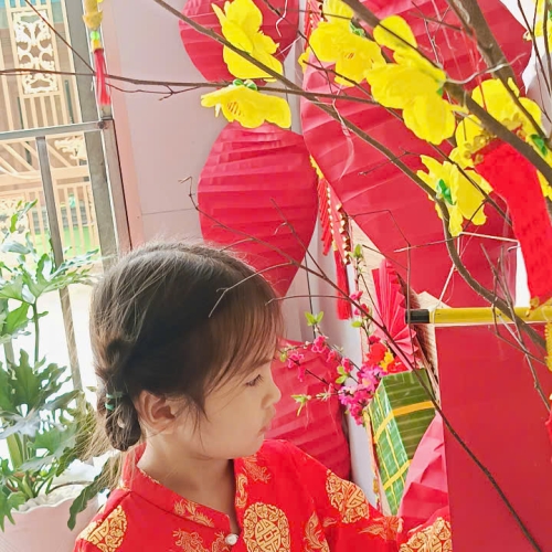 Hình tết 2025 cs4