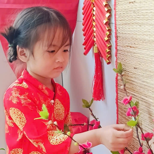 Hình tết 2025 cs4