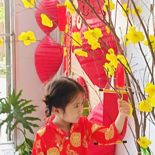 Hình tết 2025 cs4