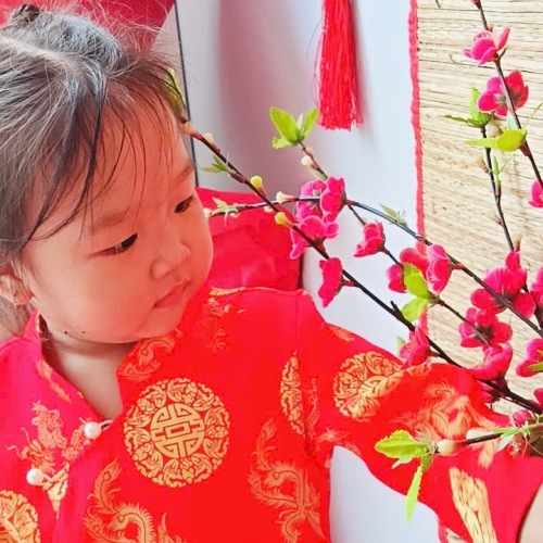 Hình tết 2025 cs4