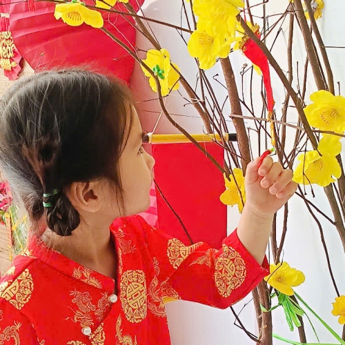 Hình tết 2025 cs4