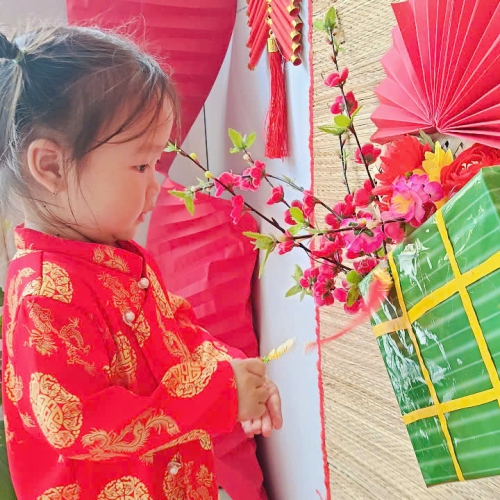 Hình tết 2025 cs4