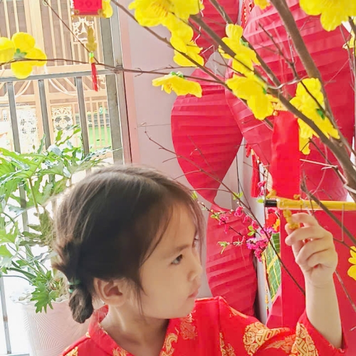 Hình tết 2025 cs4