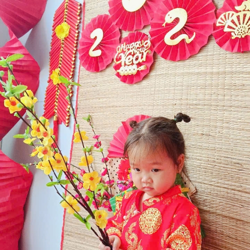 Hình tết 2025 cs4