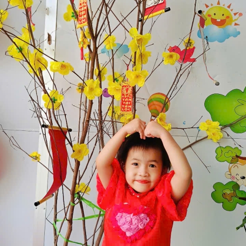 Hình tết 2025 cs4