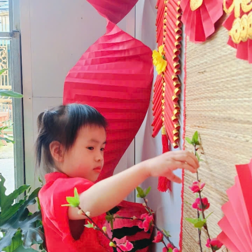 Hình tết 2025 cs4