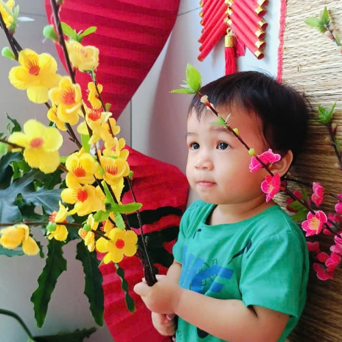 Hình tết 2025 cs4