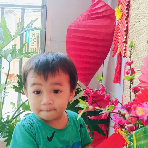 Hình tết 2025 cs4