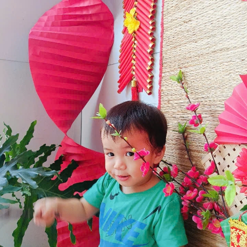 Hình tết 2025 cs4