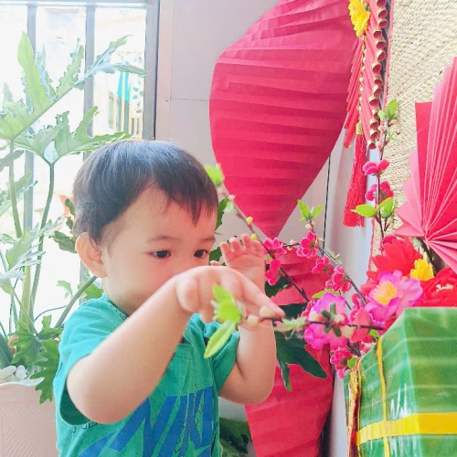 Hình tết 2025 cs4