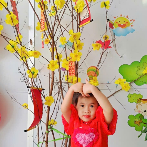 Hình tết 2025 cs4