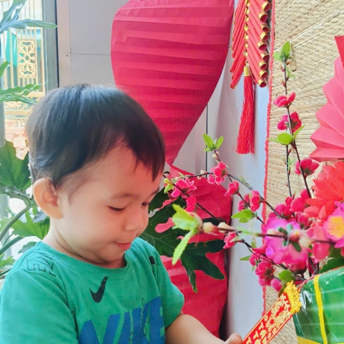 Hình tết 2025 cs4