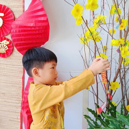 Hình tết 2025 cs4