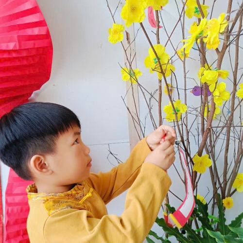 Hình tết 2025 cs4