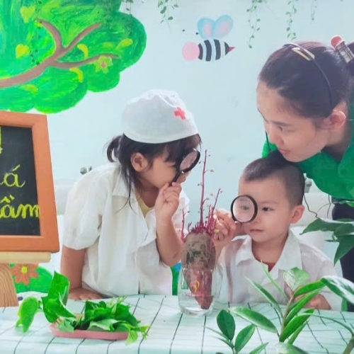 Khám Phá Cây Mọc Mầm CS4