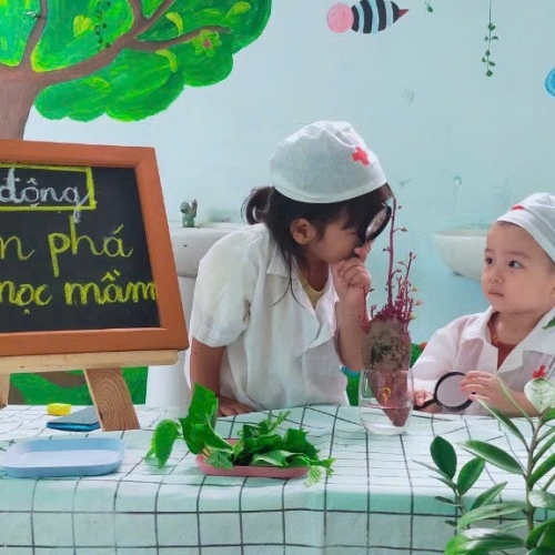 Khám Phá Cây Mọc Mầm CS4