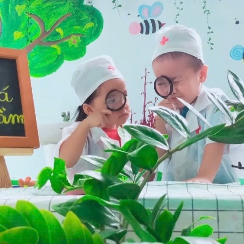 Khám Phá Cây Mọc Mầm CS4