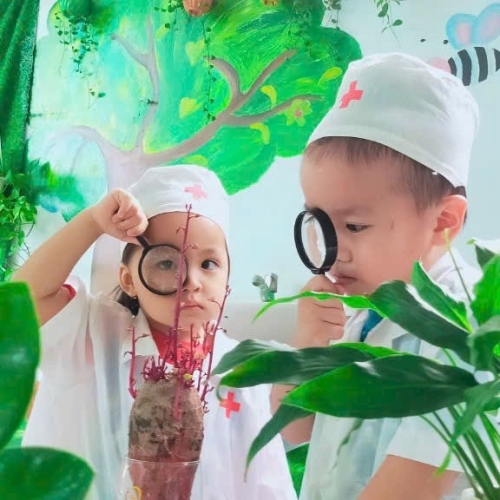 Khám Phá Cây Mọc Mầm CS4