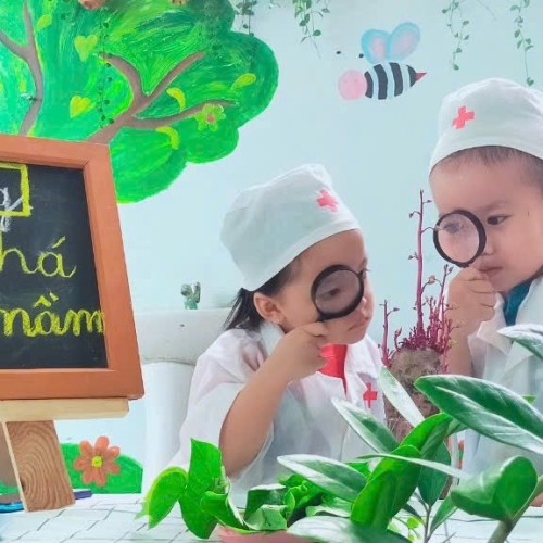 Khám Phá Cây Mọc Mầm CS4