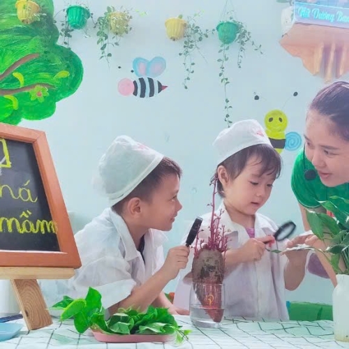 Khám Phá Cây Mọc Mầm CS4