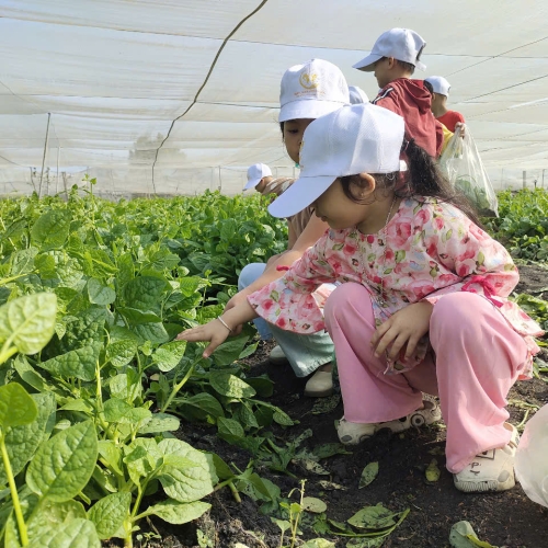 Bé trải nghiệm thu hoạch vườn rau