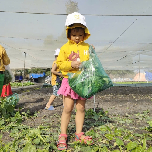Bé trải nghiệm thu hoạch vườn rau