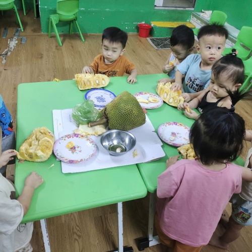 Bé khám phá quả mít