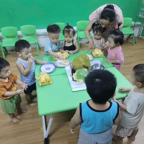 Bé khám phá quả mít