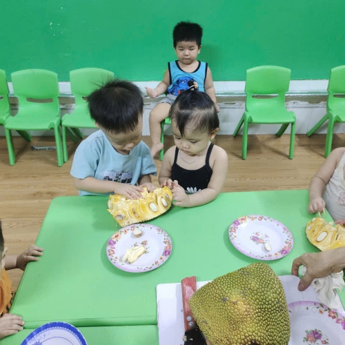 Bé khám phá quả mít