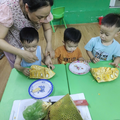 Bé khám phá quả mít