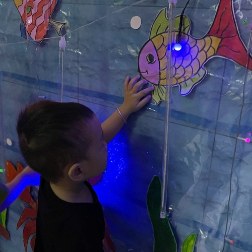 Du ngoạn Thủy cung lung linh