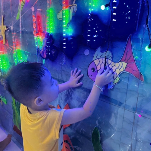 Du ngoạn Thủy cung lung linh