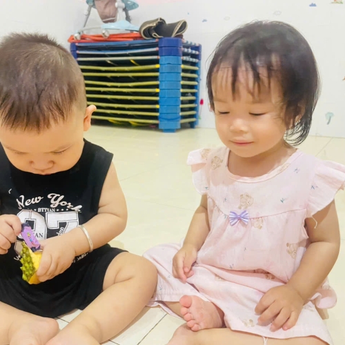 Khám phá quả mít