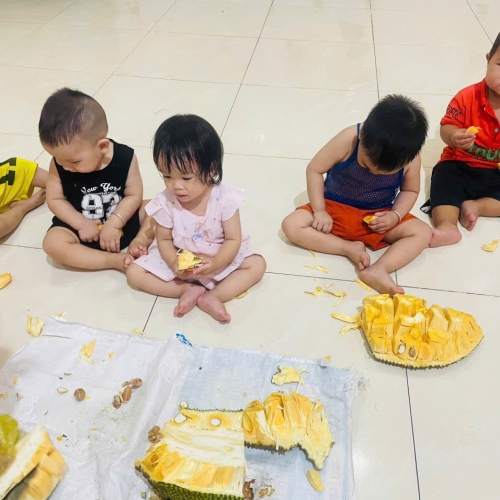 Khám phá quả mít