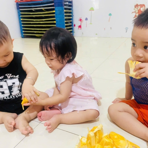 Khám phá quả mít